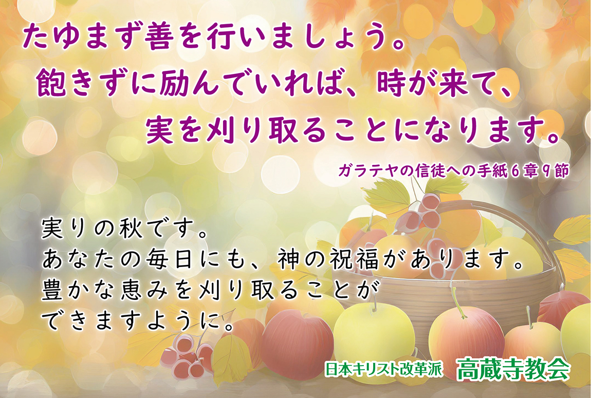 祈祷会 日本キリスト改革派 高蔵寺教会　愛知県 春日井市 高蔵寺　ポストカード　伝道はがき　ガラテヤの芯とのへの手紙６章9節